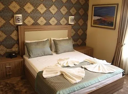 Szálloda The Rise Aron Business Merter 3*