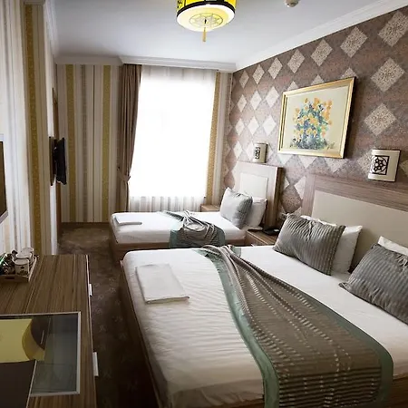 The Rise Aron Business Merter Hotell 3*