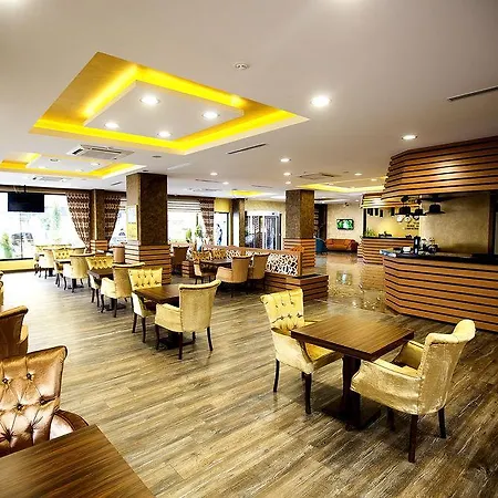 The Rise Aron Business Merter Hotell 3*