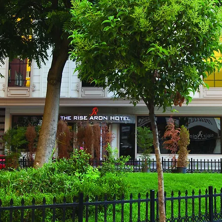 Hotell The Rise Aron Business Merter 3*