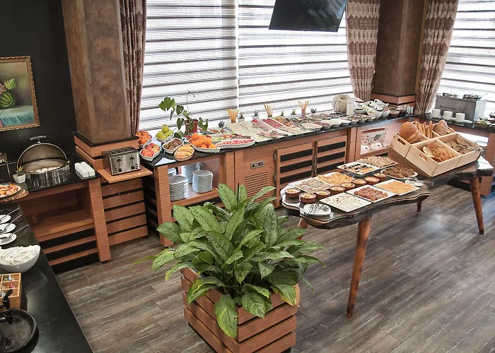 The Rise Aron Business Merter 3* 이스탄불