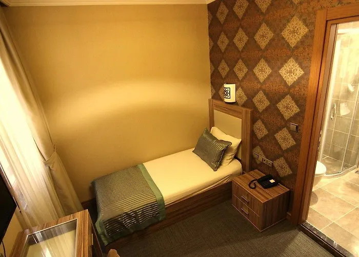 호텔 The Rise Aron Business Merter 3*