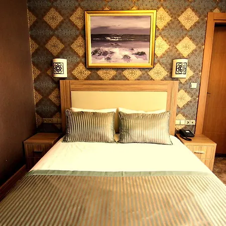 Hotel The Rise Aron Business Merter